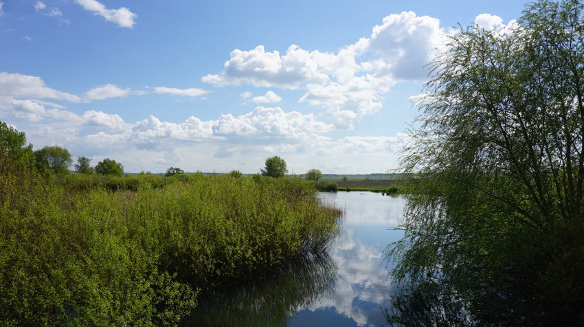 Строитель.Окрестности.