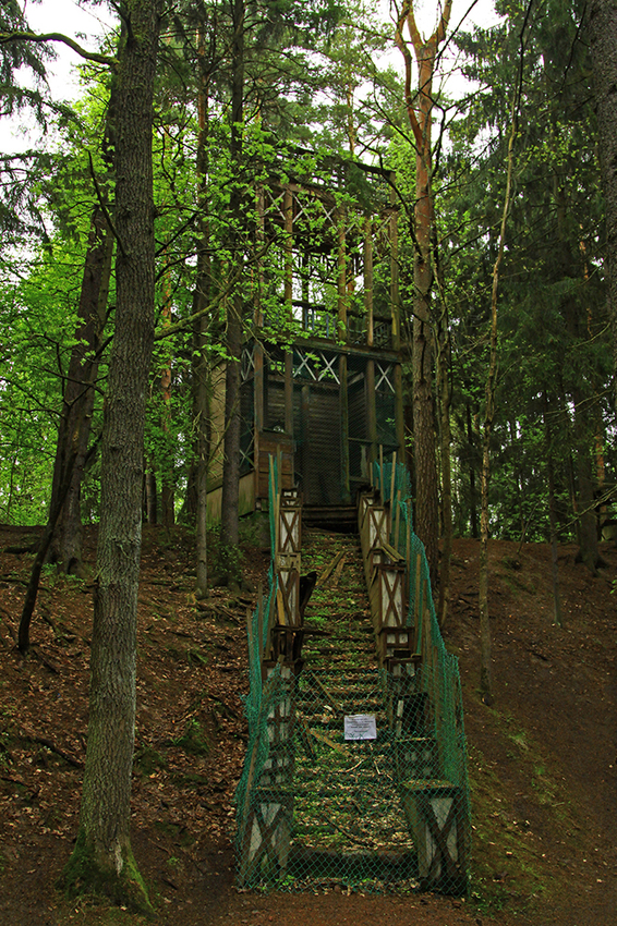 В парке музея-усадьбы Репина