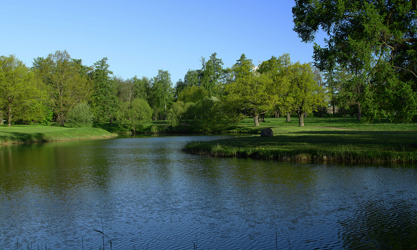 Фасадный пруд