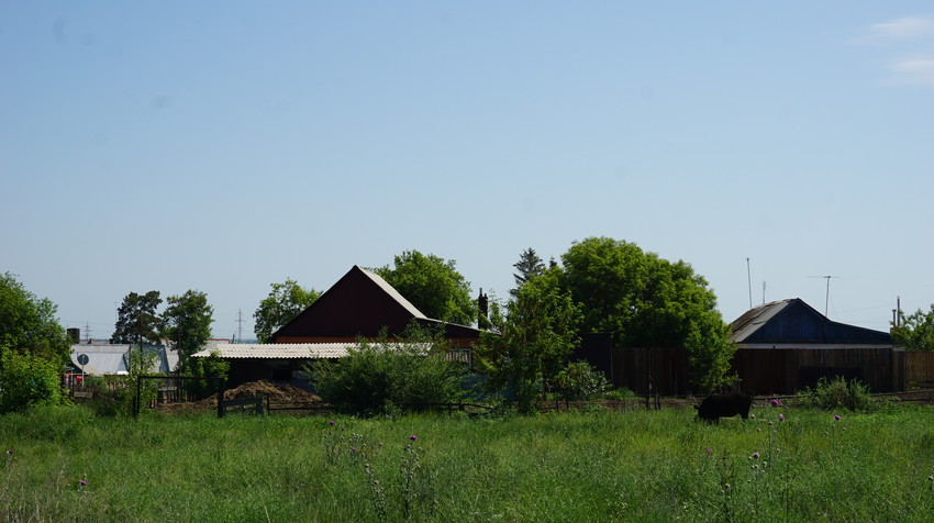 Новый Кумак.