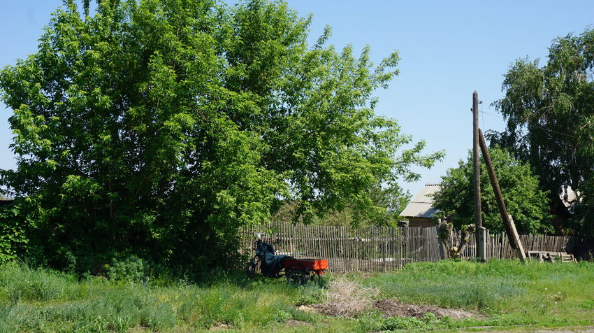 Новый Кумак.