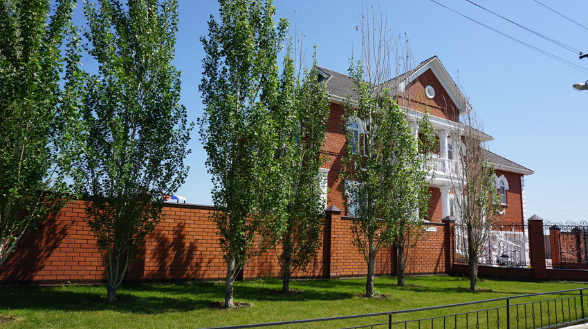 Новый Кумак.