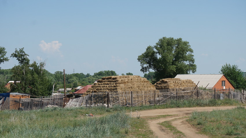 Новый Кумак.