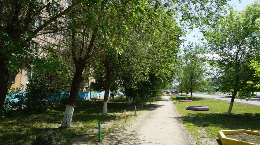 На улице Комарова.