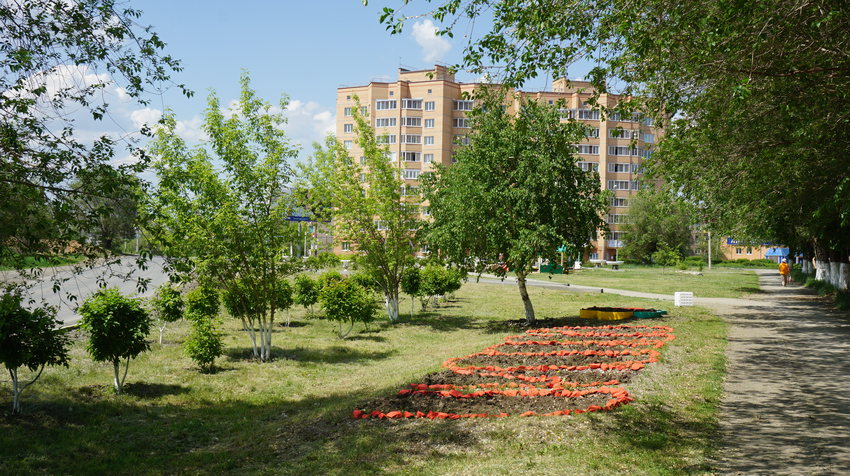 На улице Комарова.