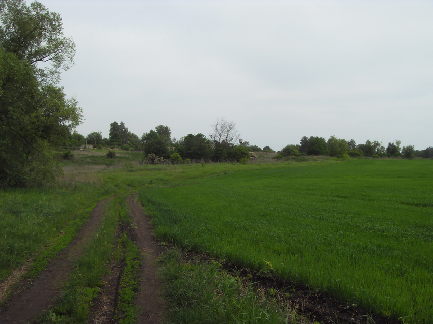 Затишье. Май 2015