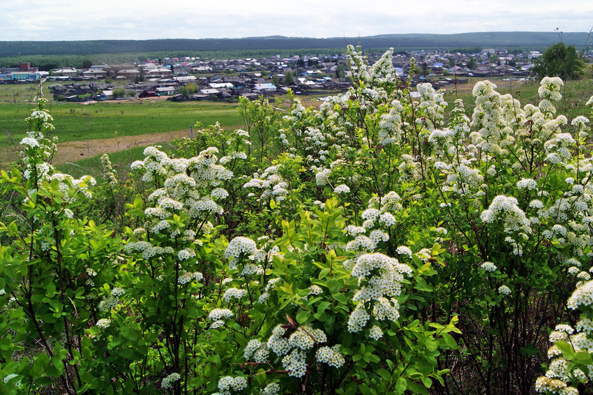 Ирбейское. Природа.