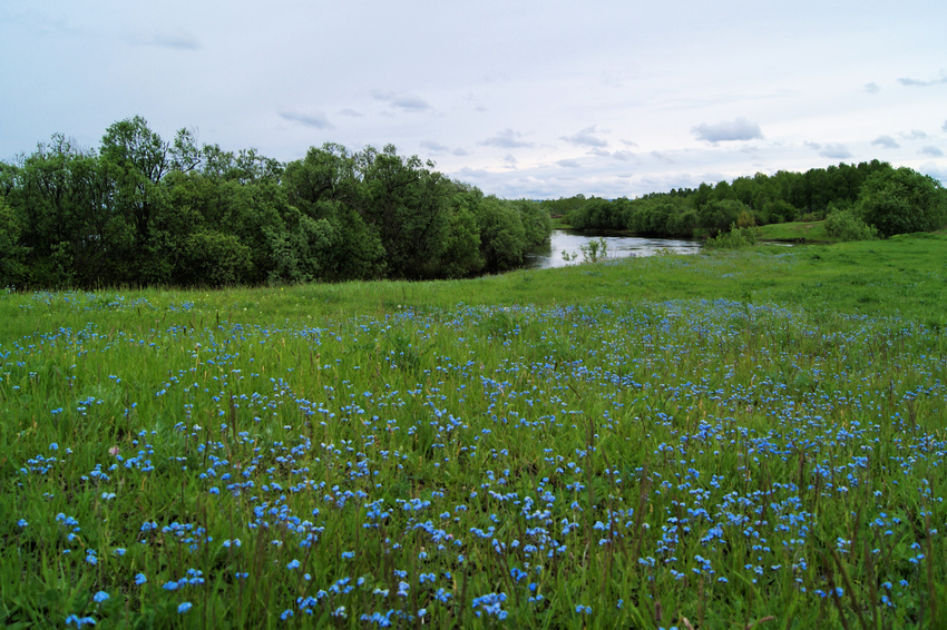 Ирбейское. Природа.
