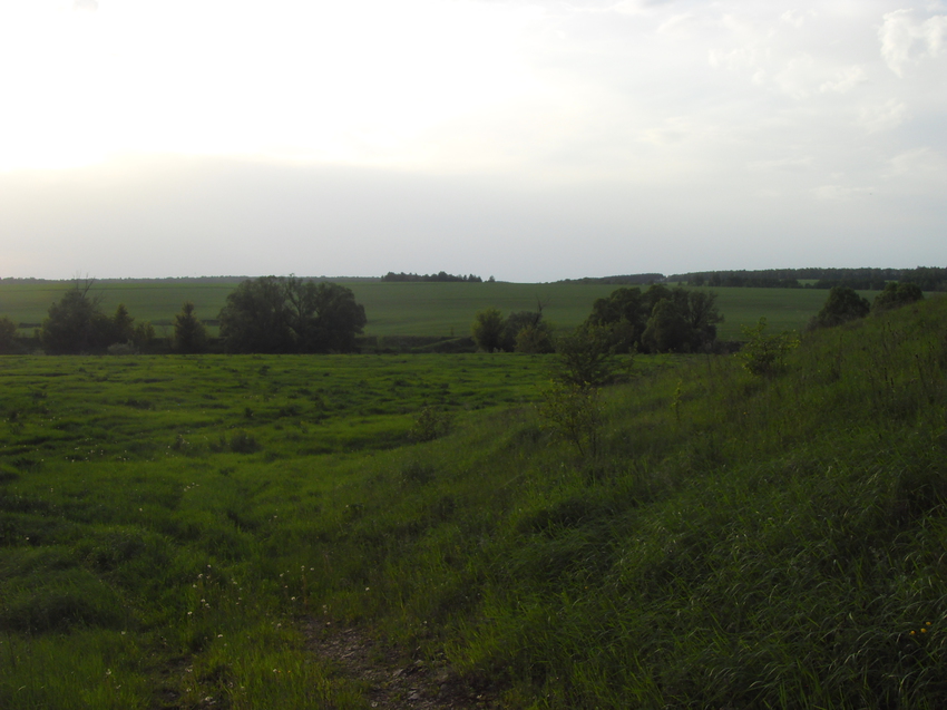 Футбольное поле лагеря Космоса