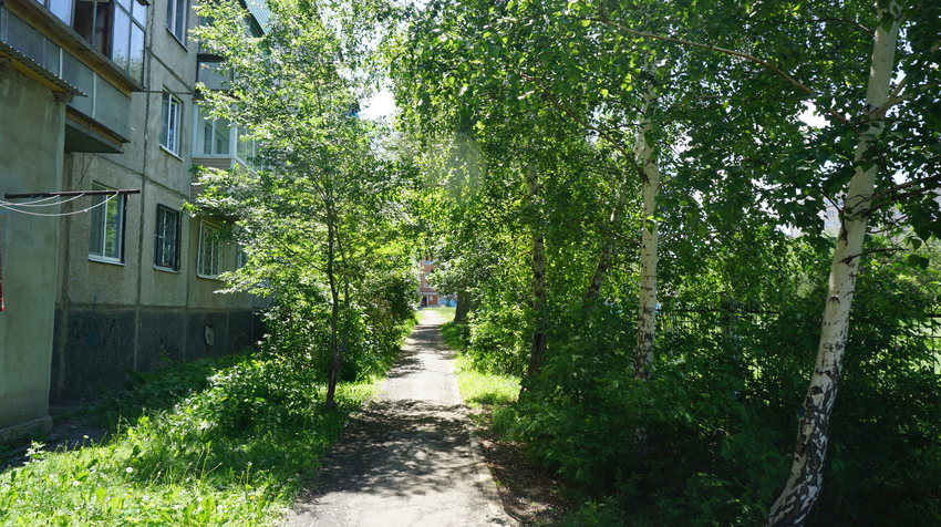 Тротуар.Берёзки.