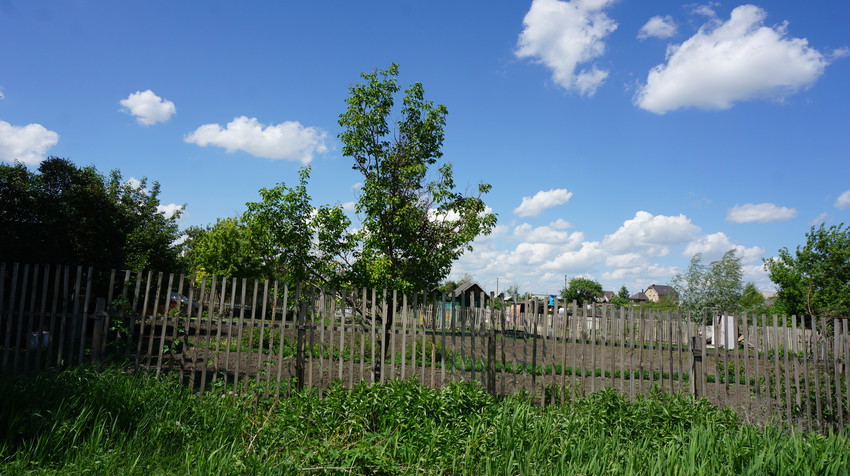 Елшанка.ДСО.