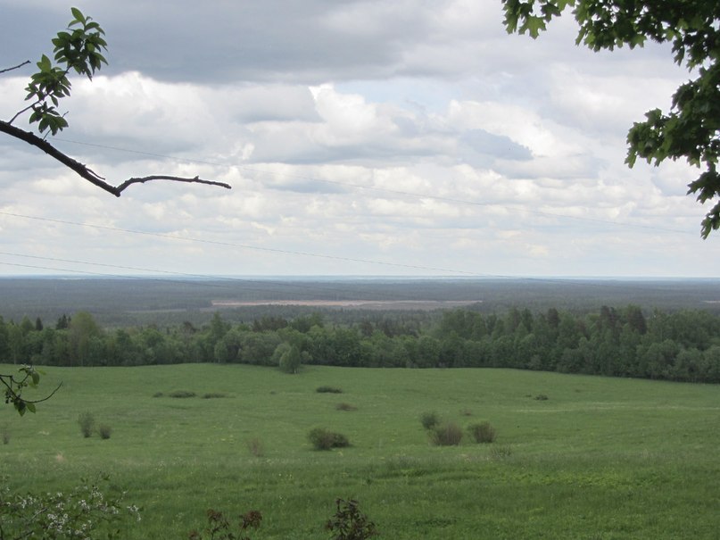 Сойкинская возвышенность