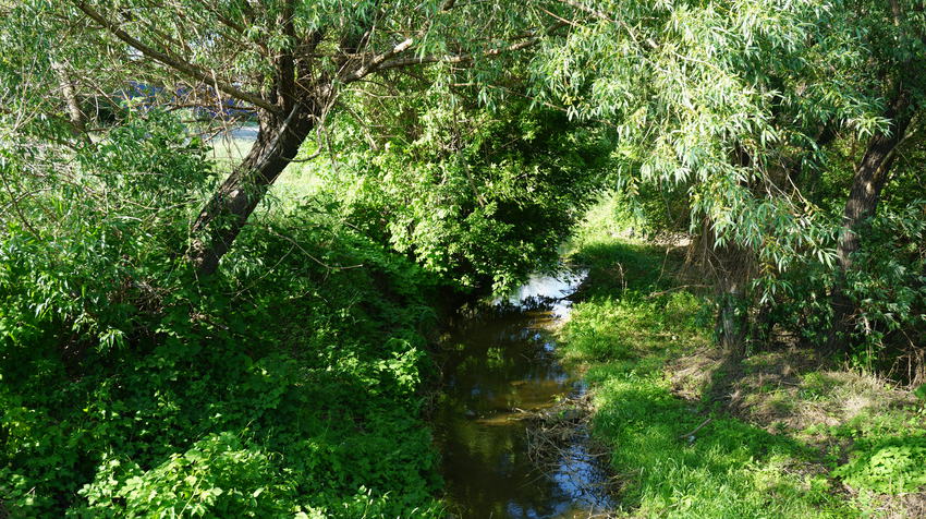 Речка Казак-Чехан.