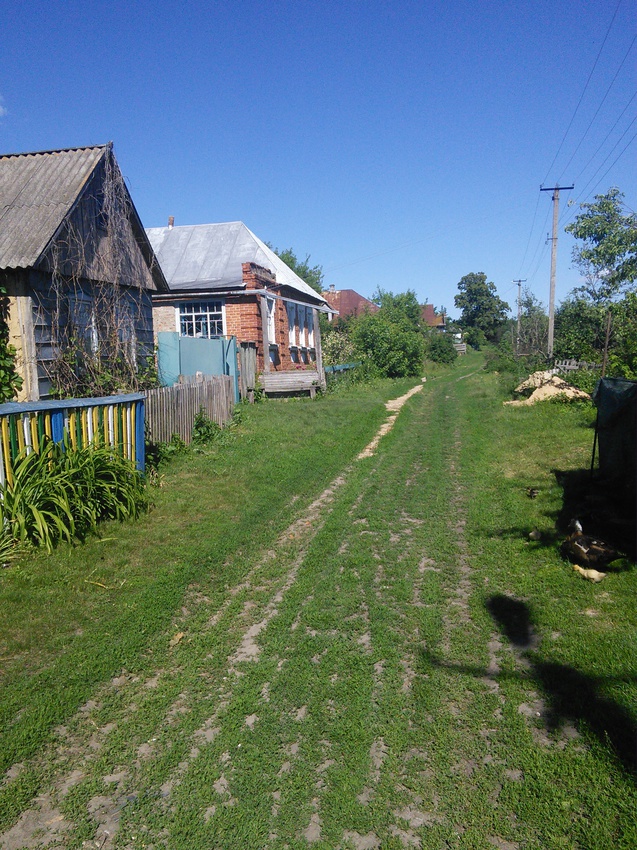 Літній Покрівець