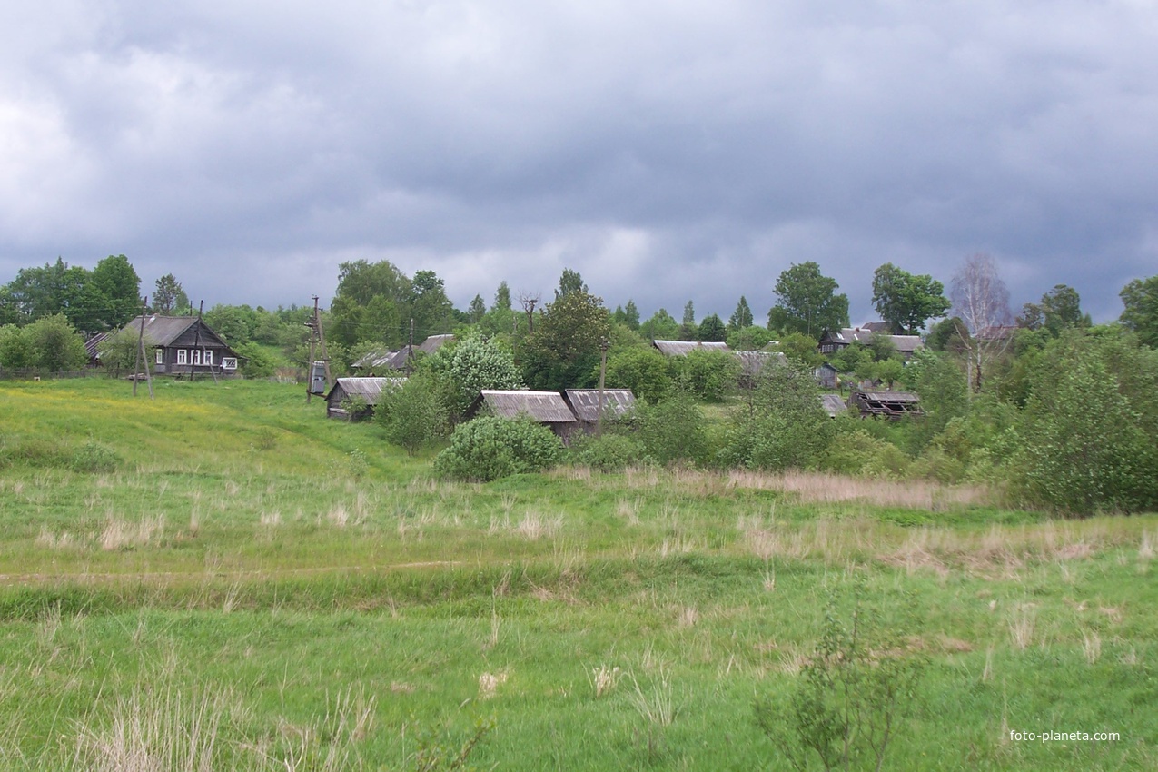 Деревня  Селилово Валдайского  района, май 2010 г.