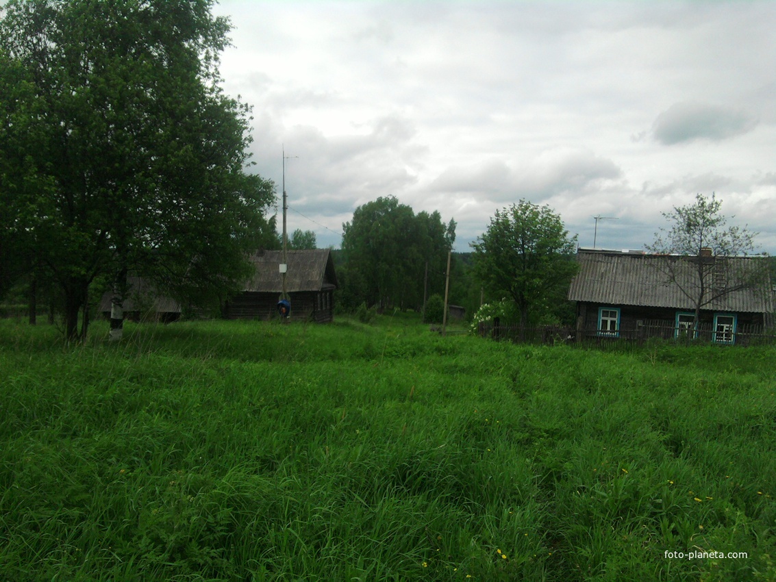 Высокуша  Валдайского  района, май 2010г.