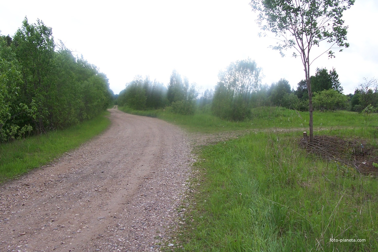 Дорога  из  деревни  Высокуша в  Милятино, май 2010 г.