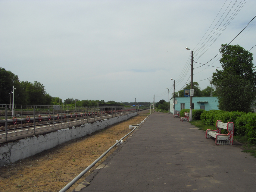 Погода в залегощи