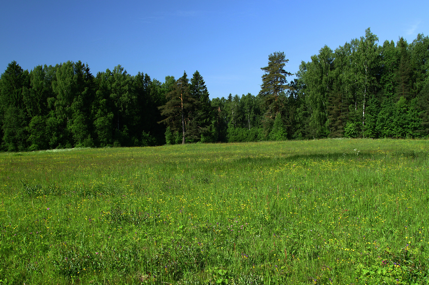 Павловский парк