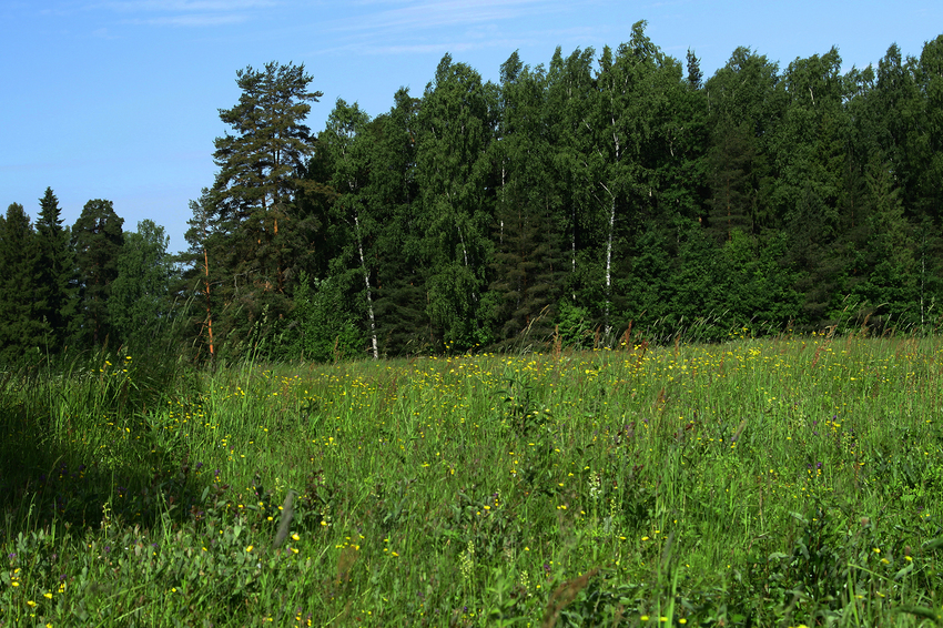 Павловский парк