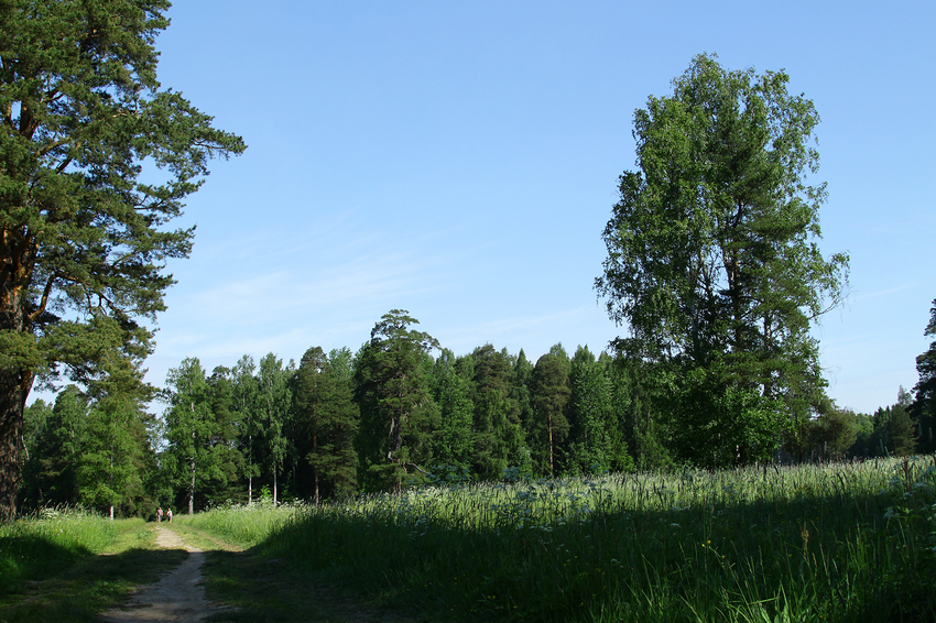 Павловский парк