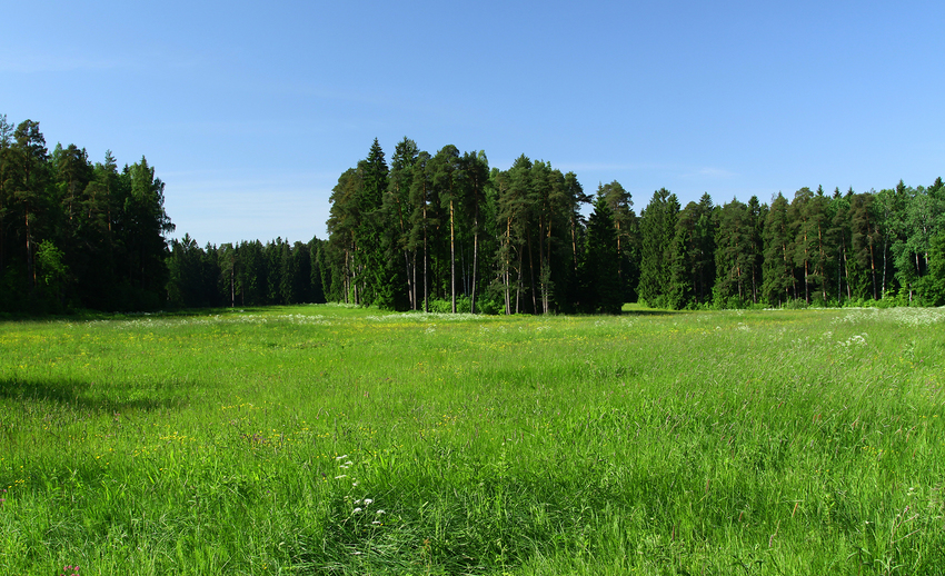 Павловский парк