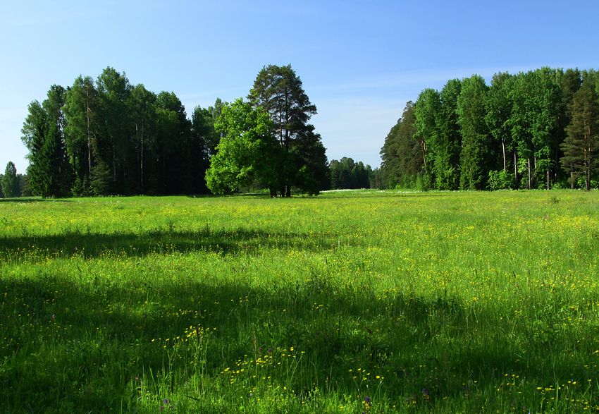Павловский парк