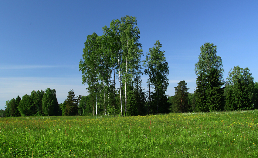 Павловский парк
