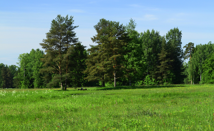 Павловский парк