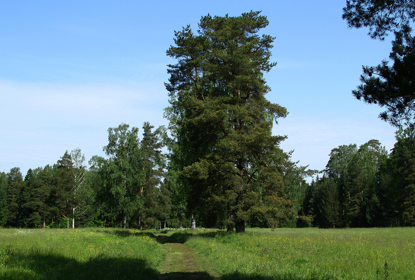 Павловский парк
