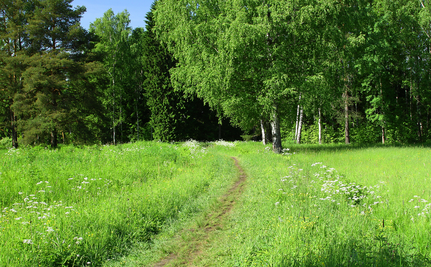 Павловский парк