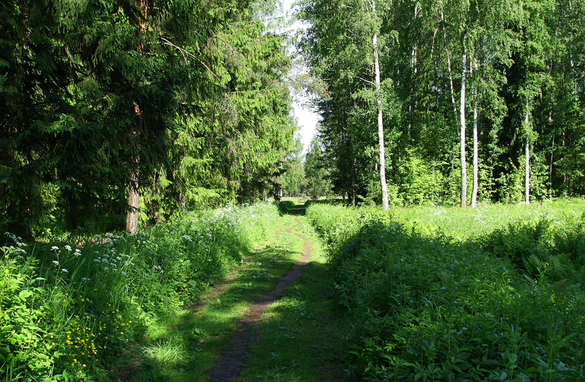 Павловский парк