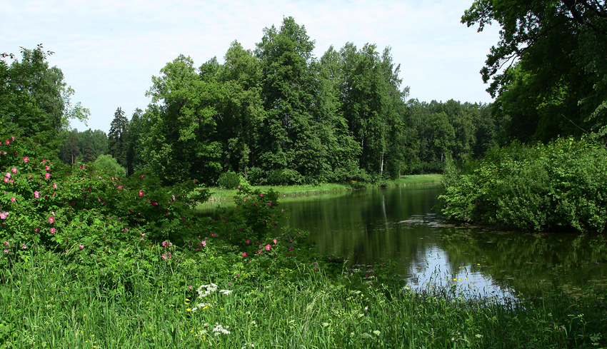 Павловский парк