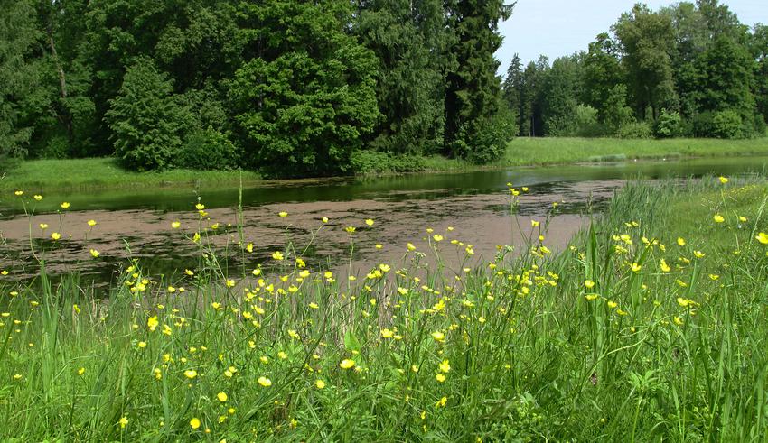 Павловский парк