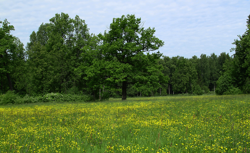 Павловский парк