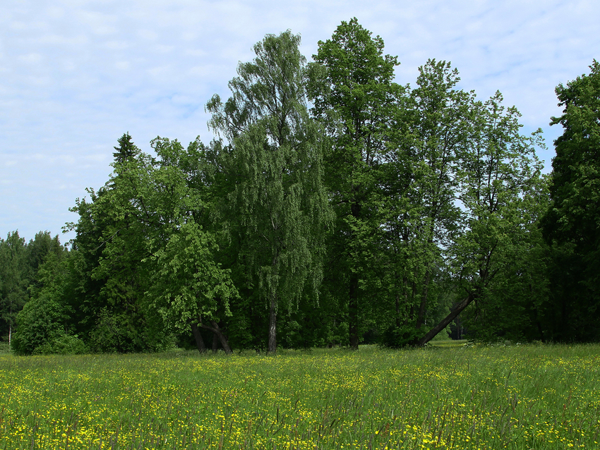 Павловский парк