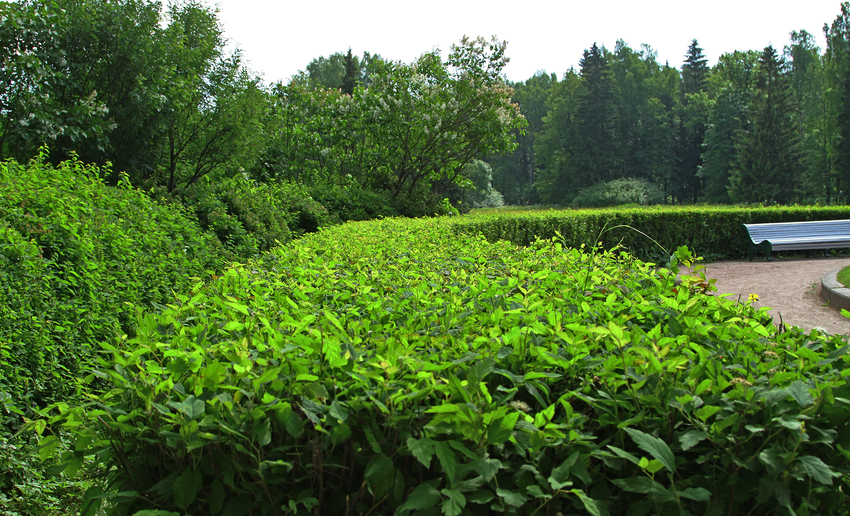 Павловский парк