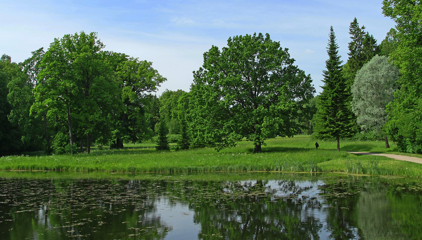 Павловский парк