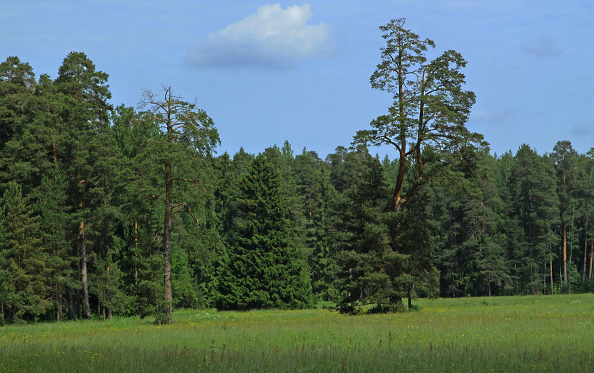 Павловский парк