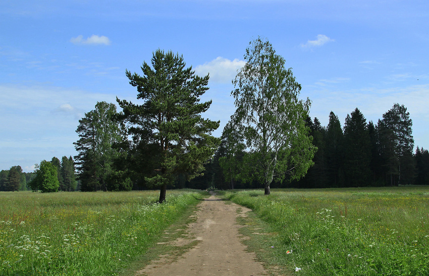 Павловский парк