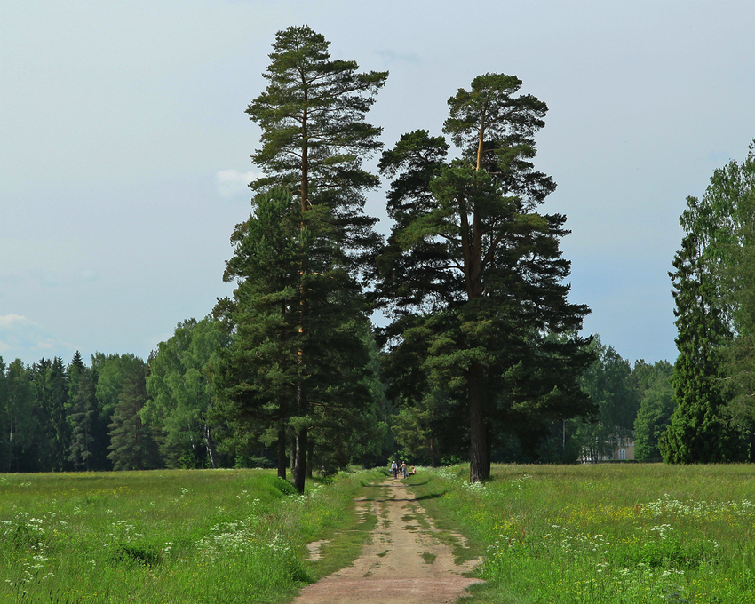 Павловский парк