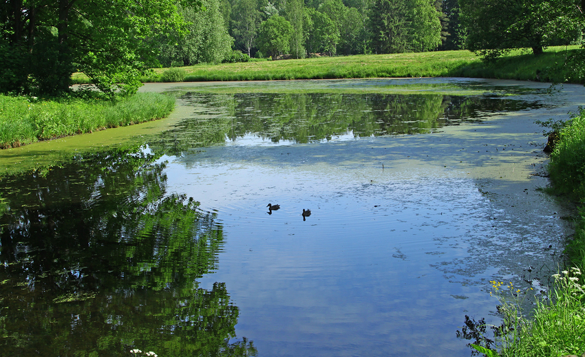 Верхний пруд