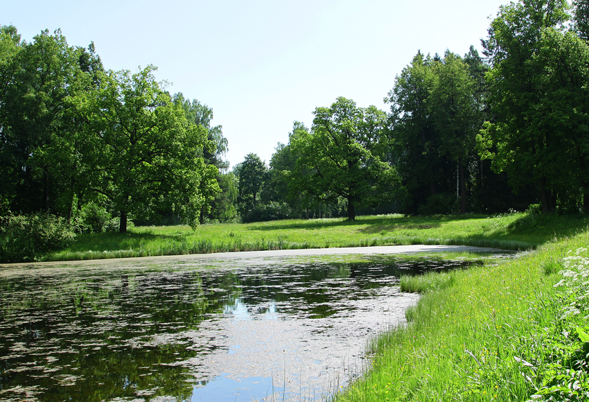 Средний пруд