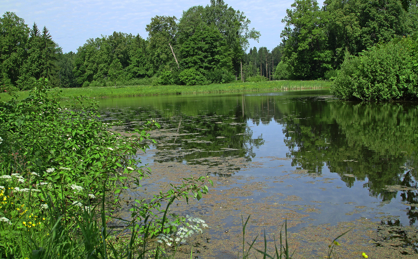 Средний пруд