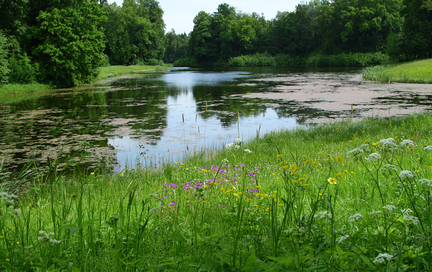 Средний пруд