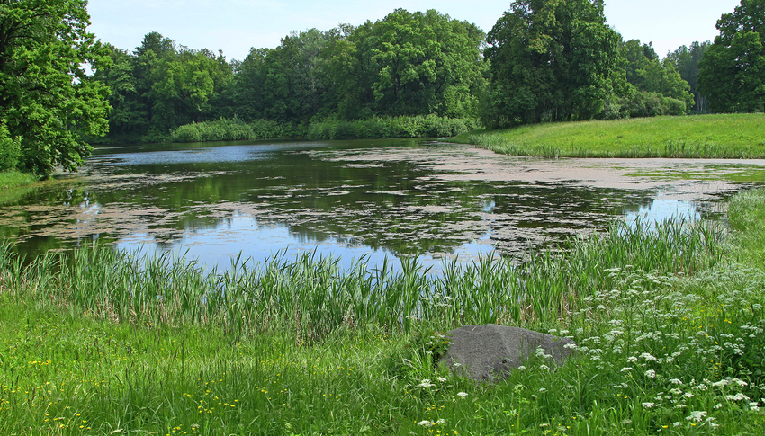 Средний пруд