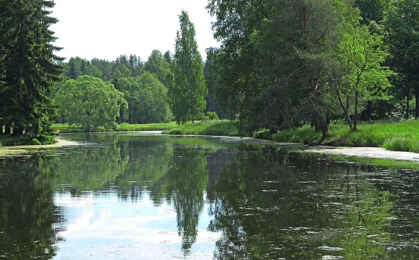 Средний пруд