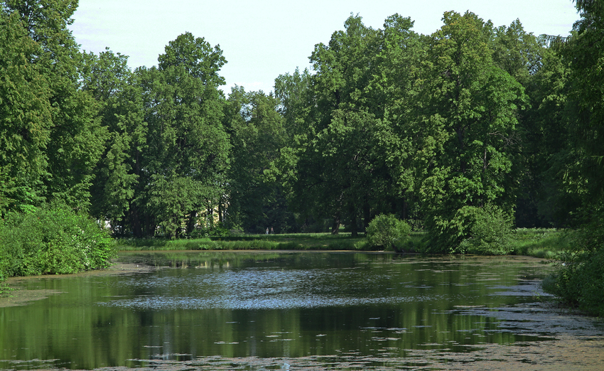 Средний пруд