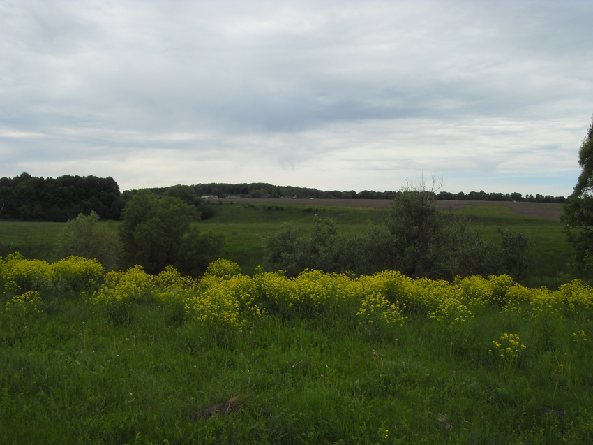 Затишье. Вид на деревню Красное