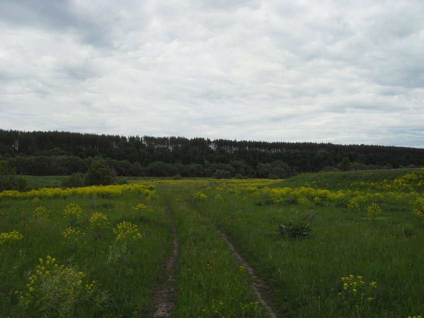 Просторы Затишья